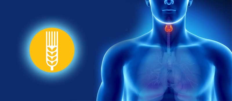 Legatura dintre tiroidita autoimuna si boala celiaca