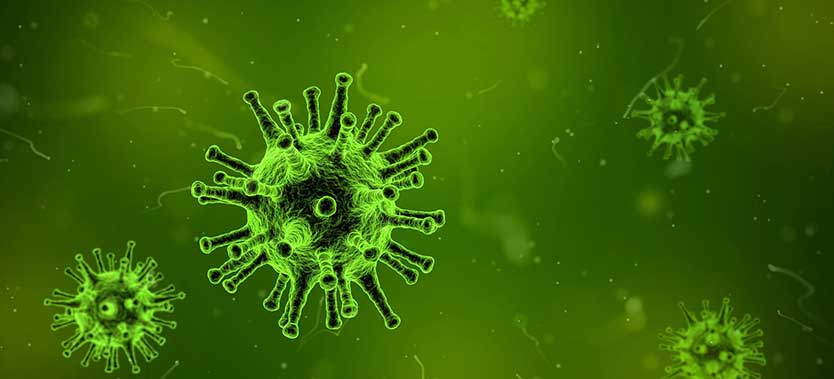 Infectiile virale legate in studii de aparitia bolii celiace